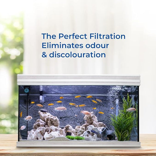 CILICAnT Premium Grade Activated Carbon/Charcoal Granules Made of Coconut Shell Powder for Aquarium, Water Purification & Filteration, Air Purification and Odor Adsorption (Pack of 1 X 950 ml Each)